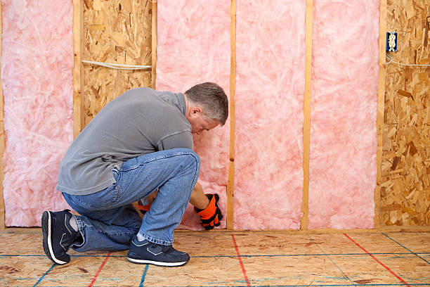 Best Types of Insulation in Valle Vista, CA